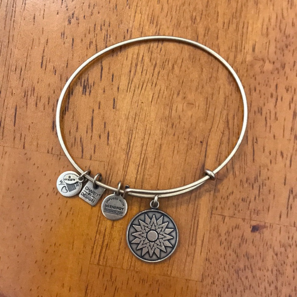 Gold compass alex and ani